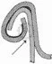 loose-can-seam-profile Seaming profile, can seam profile, can seam roller profile, seaming hook, can seam hook
