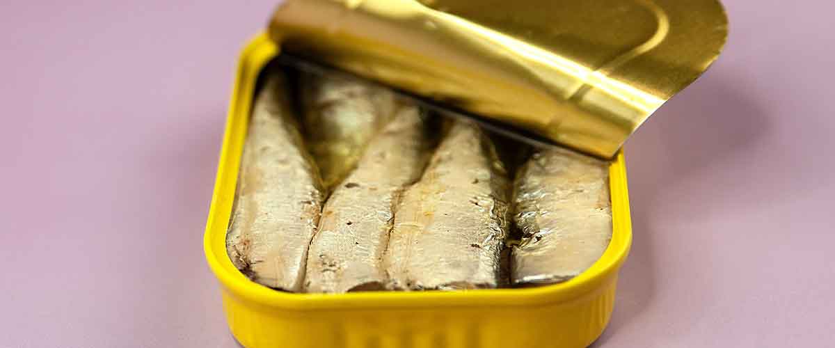 Blog for latest developments on Can seamer machines.